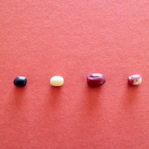 豆【４種類の小豆セット　２００g入り　４袋】眺めてもかわいい！