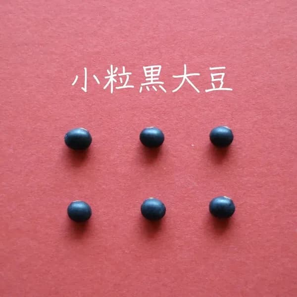 豆【小粒黒大豆　２００g】忙しい時にこそ使って欲しい、小粒なお豆さん