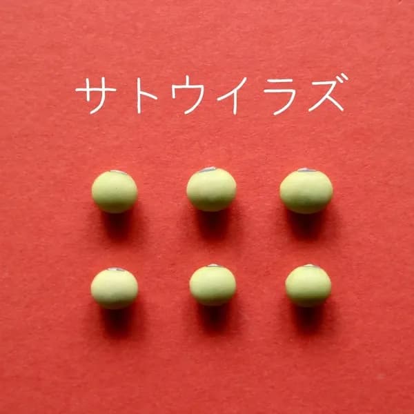豆【サトウイラズ　２００g】砂糖がいらないくらい甘みの強い大豆です