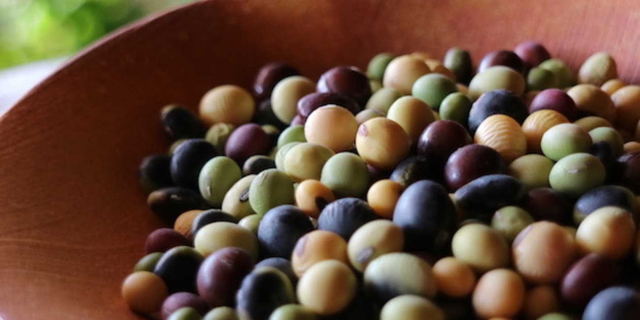 丹波篠山めぶき農房ロゴ