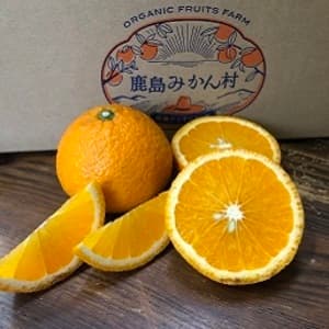有機スイートスプリング