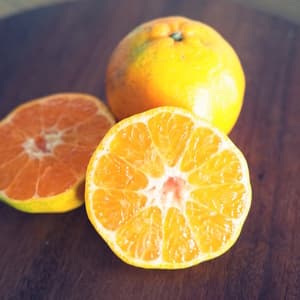 【今だけ10%OFF】（ご家庭用）甘みも酸味もたっぷり　屋久島ポンカン