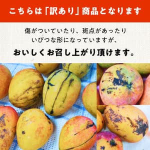 わけあり有機マンゴーの口コミ・レビュー(Yuyaさん)
