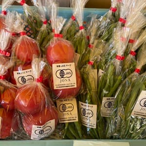 〈期間限定〉宮古島のお野菜詰め合わせセット