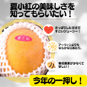 贈り物・ご自宅用に｜ぜひ食べてみてほしい！夏小紅1kg（2玉～4玉） の口コミ・レビュー(でこぴーさん)