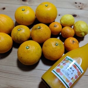 柑橘アソート（みかんジュース１本と柑橘おまかせ（３キロ）セット）自然栽培（農薬不使用・化学肥料不使用・除草剤不使用）の口コミ・レビュー(伊藤さん)