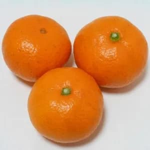温州みかん  自然栽培（農薬不使用・化学肥料不使用・除草剤不使用）の口コミ・レビュー(菜花さん)