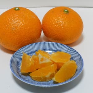 スィートスプリング   自然栽培（農薬不使用・化学肥料不使用・除草剤不使用）