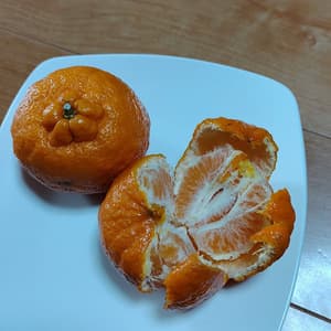 ポンカン　自然栽培（農薬不使用・化学肥料不使用・除草剤不使用）の口コミ・レビュー(さくらさん)