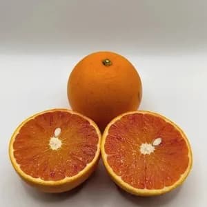 ブラッドオレンジ（タロッコ）　自然栽培（農薬不使用・化学肥料不使用・除草剤不使用）