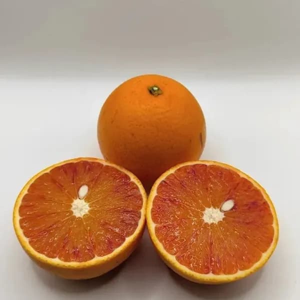 ブラッドオレンジ（タロッコ）　自然栽培（農薬不使用・化学肥料不使用・除草剤不使用）