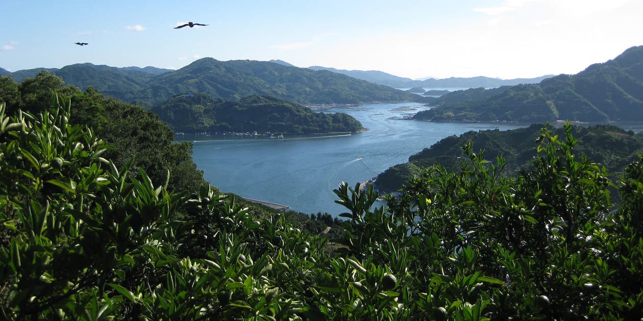 なかい果樹園ロゴ