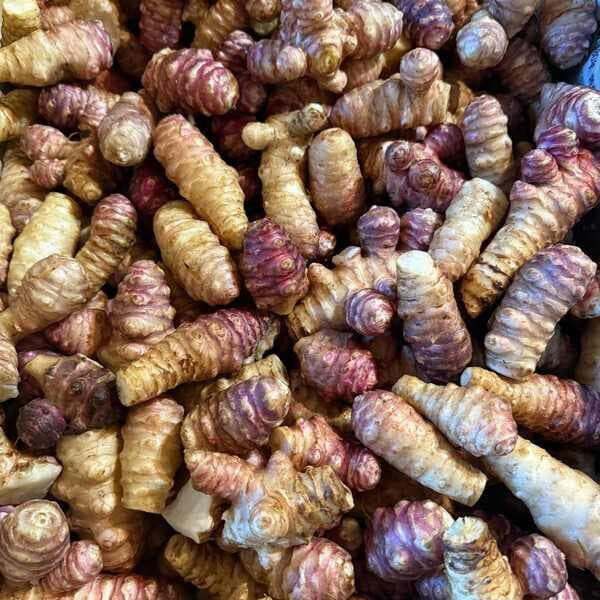 洗ってお届け！自然栽培の紫菊芋（フランス菊芋）1㎏