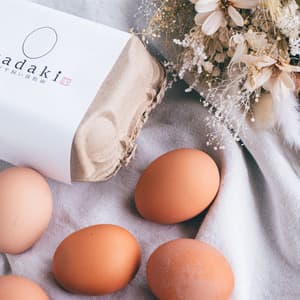 【大寒卵】放牧鶏「暖鷄」の大寒卵(12個)化粧箱入