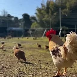 2025.12.18 Instagram post