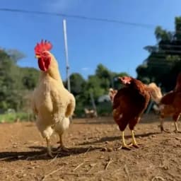 ｢生き方は、質になる。｣2026.2.21 Instagram post