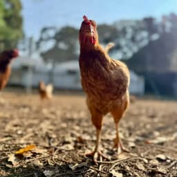 ｢生きている時間のあり方｣ 2026.2.24 Instagram post