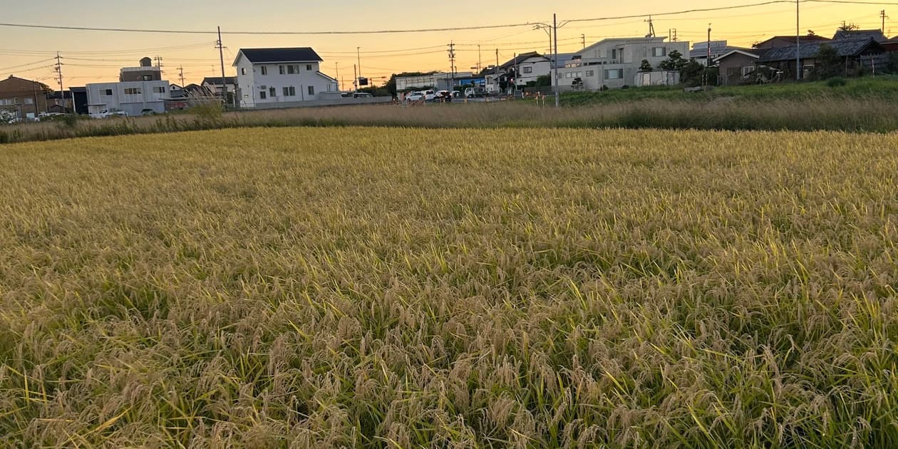 ナチュレストファームロゴ