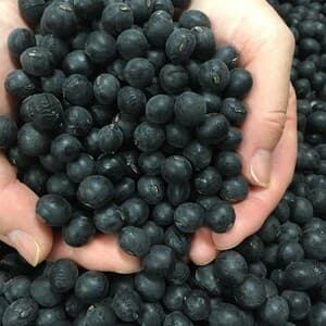 令和７年産＜丹波黒豆＞栽培期間中 農薬・化学肥料不使用の口コミ・レビュー(マリーナさん)