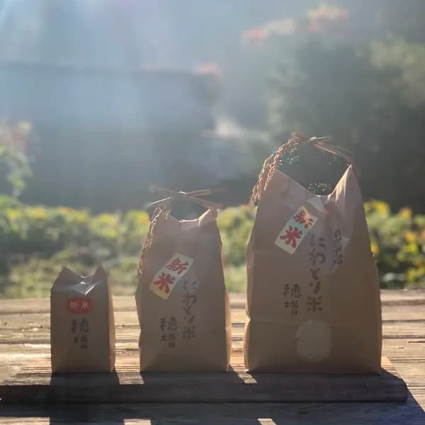 【令和7年度】阿蘇立岩水源の湧水×天日干し自然栽培米＜熊本在来米 穂増＞農薬・化学肥料不使用
