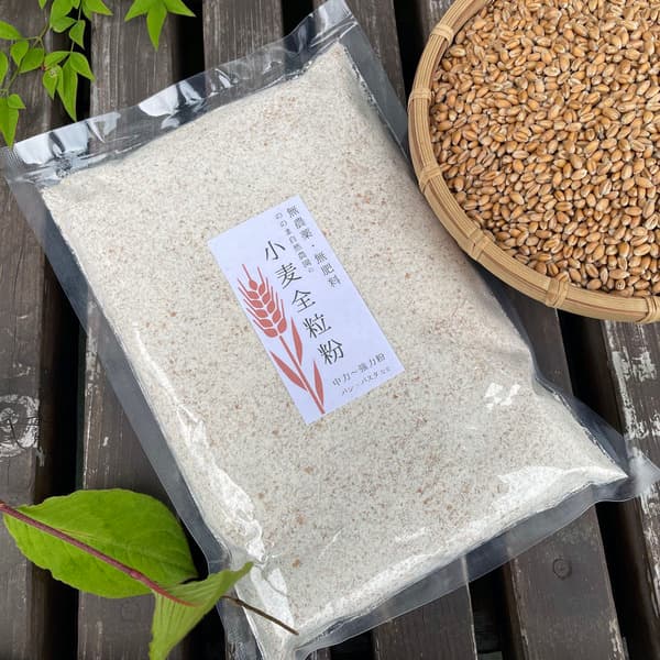小麦全粒粉【無農薬・無肥料・天日干し・石臼挽き】