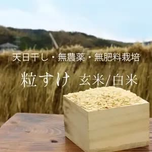 令和7年度産＜粒すけ＞白米/玄米【無農薬・無肥料・天日干し】