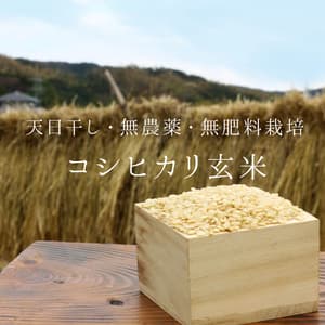 令和4年度産 コシヒカリ玄米 【無農薬・無肥料・天日干し】
