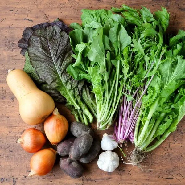 農薬・化学肥料不使用＜季節のおまかせ野菜セット＞大分県耶馬渓の自然の恵みで命をつなぐ固定種入り