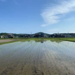 対談動画