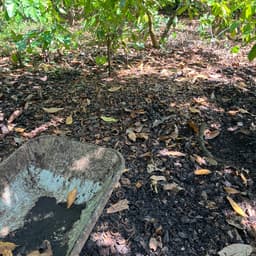 オーガニックという選択が、未来をつくる