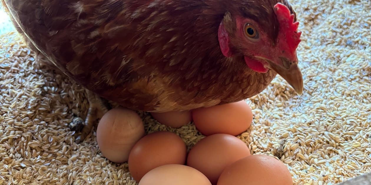 津軽さとやま農場ロゴ