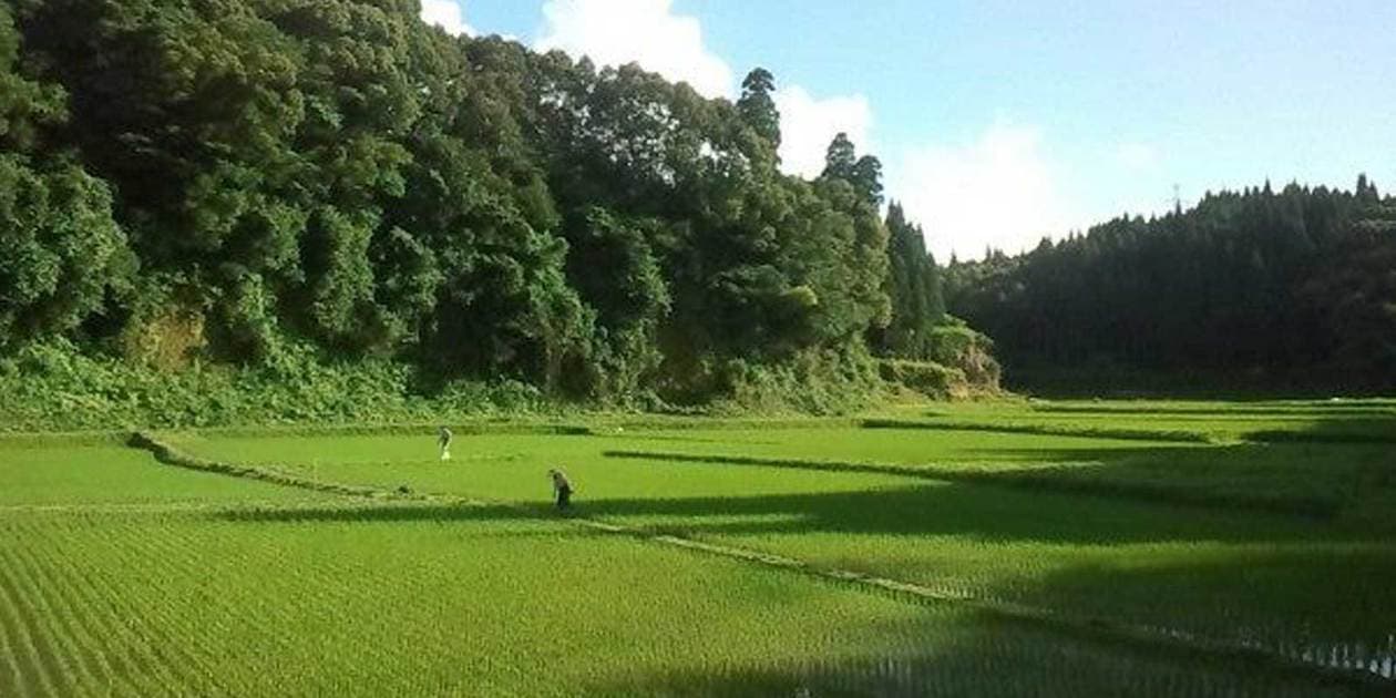 One Love 湧水ロゴ