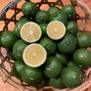 農薬・肥料不使用「青切りかぼす」の口コミ・レビュー(immさん)