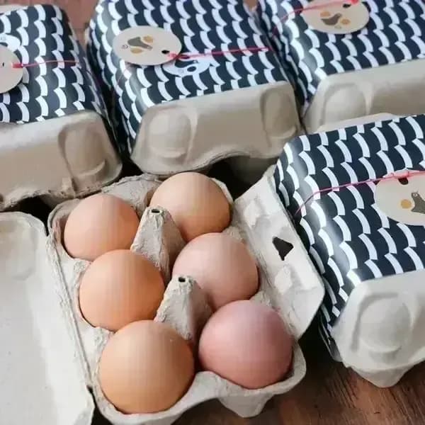 優秀賞を受賞した　北海道の純国産鶏平飼い自然卵「おのたま」