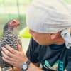 小野養鶏場「おのたま」について