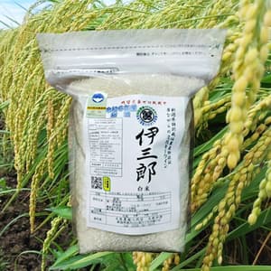 【新米】令和7年度産＜新潟産ミルキークイン＞真空パック（選択精米　玄米/白米）残留農薬検出ゼロ継続中の口コミ・レビュー(lukeさん)