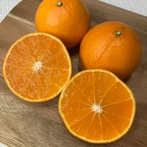 【愛媛県オリジナル品種】農薬・化学肥料不使用のプリンセス＜有機JAS認証＞ 手作り有機肥料で育てたプルプル食感の柑橘のレビュー