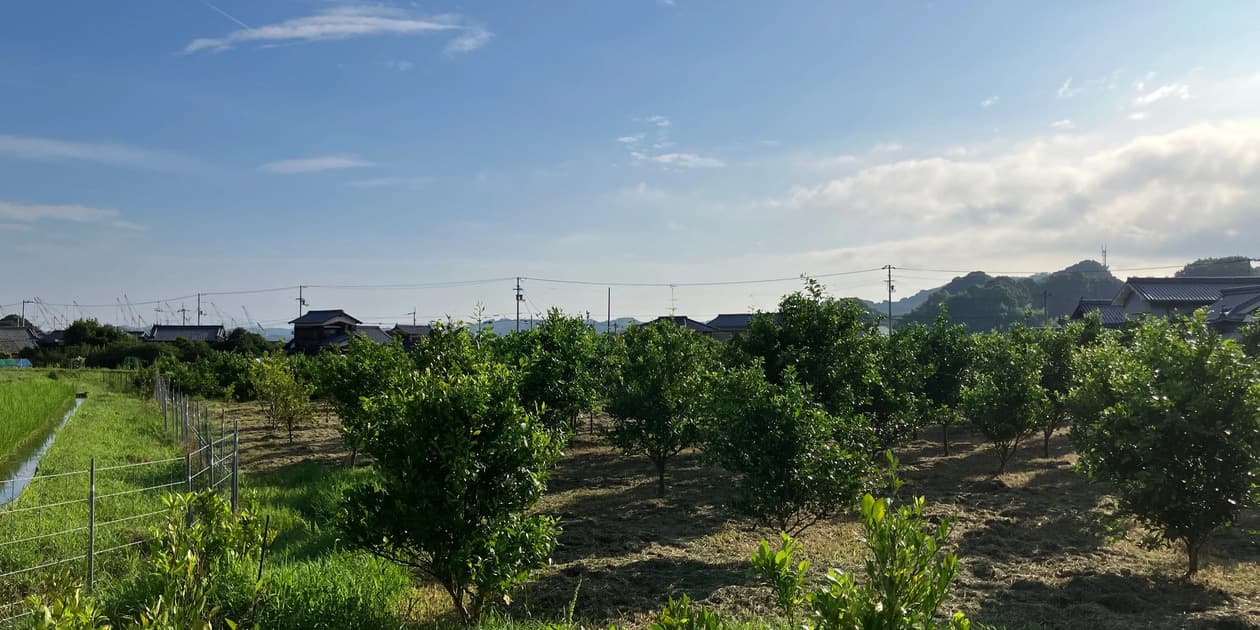 おおくぼきみひろ果樹園ロゴ