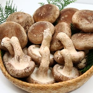 朝採れ肉厚生しいたけ　無添加みそたれ付きの口コミ・レビュー(usacoさん)