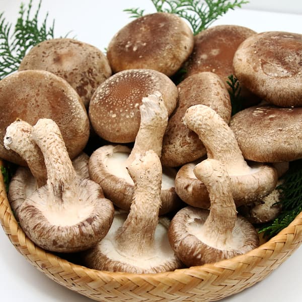 朝採れ肉厚生しいたけ　無添加みそたれ付き