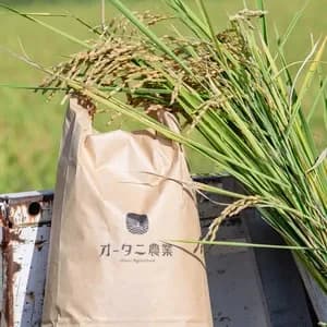 岐阜県産＜いのちの壱＞農薬・化学肥料不使用の口コミ・レビュー(りすさん)