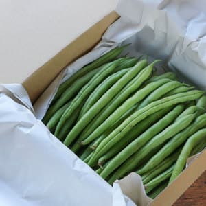 与論のミネラルたっぷり！有機いんげん家庭用の口コミ・レビュー(おかっぺさん)