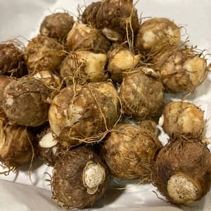 与論のミネラルたっぷり！有機里芋（きぬかつぎ）