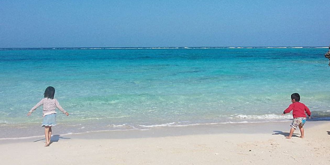 Organic Farm Yoronロゴ