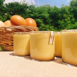 【母の日ギフト】走る鶏の濃厚プリン６個入り【メッセージカード付き】