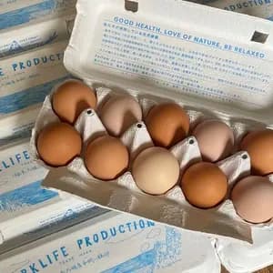 自然養鶏の放し飼い＜湘南大磯・平飼い卵＞自家製発酵飼料と天然の緑肥で飼育の口コミ・レビュー(サッチさん)