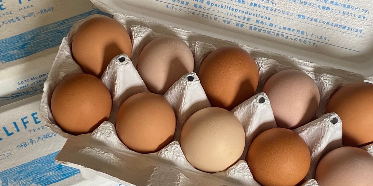 PARKLIFE PRODUCTIONSロゴ