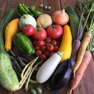 【初回限定送料込】自然農 お試し野菜セット