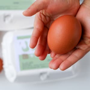 ＜平飼いのんびり卵＞おからや米粉など自家配合飼料で自然養鶏の口コミ・レビュー(ぱふさん)