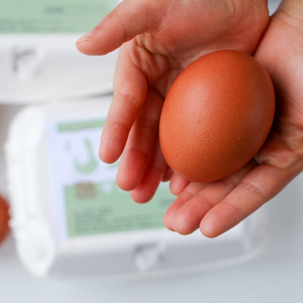 【大寒期間の卵】平飼いのんびり農園